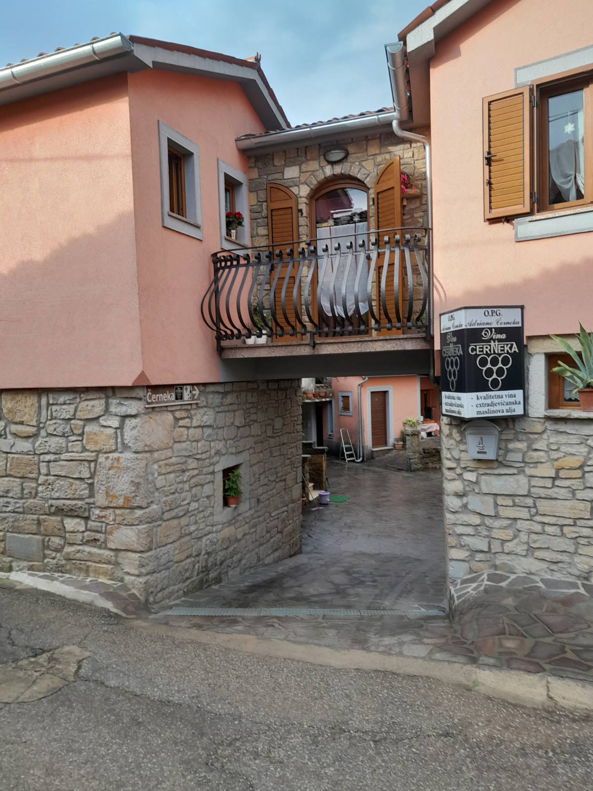 Vina Černeka